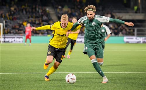 What's a Bingo Game?